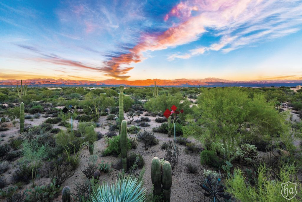 30643_North_136th_Street_Scottsdale_AZ_Views