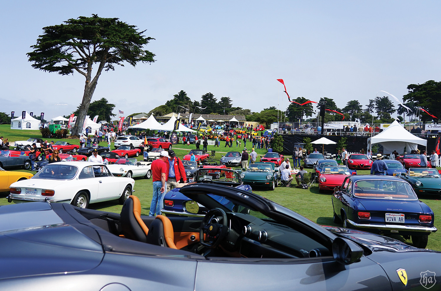 Alfa_Field_Concorso_Italiano