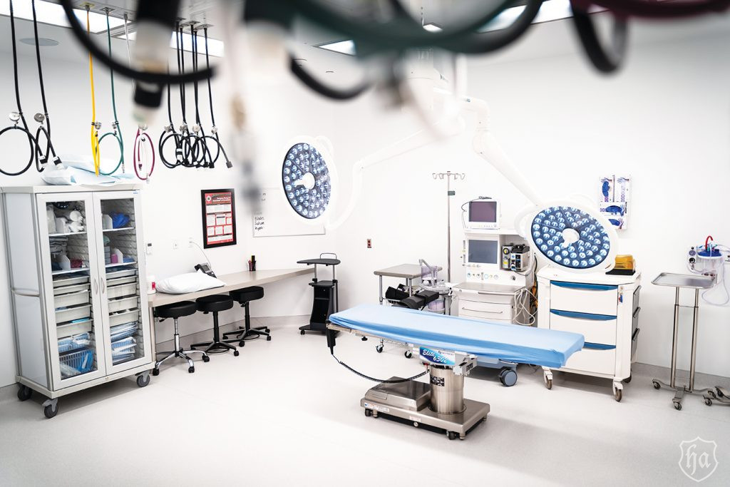 Dr_Remus_Repta_surgury_center
