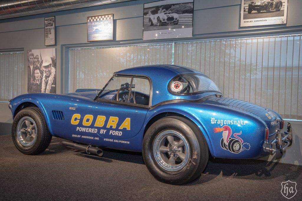 Shelby_CSX2357_Dragonsnake_Cobra_Experience