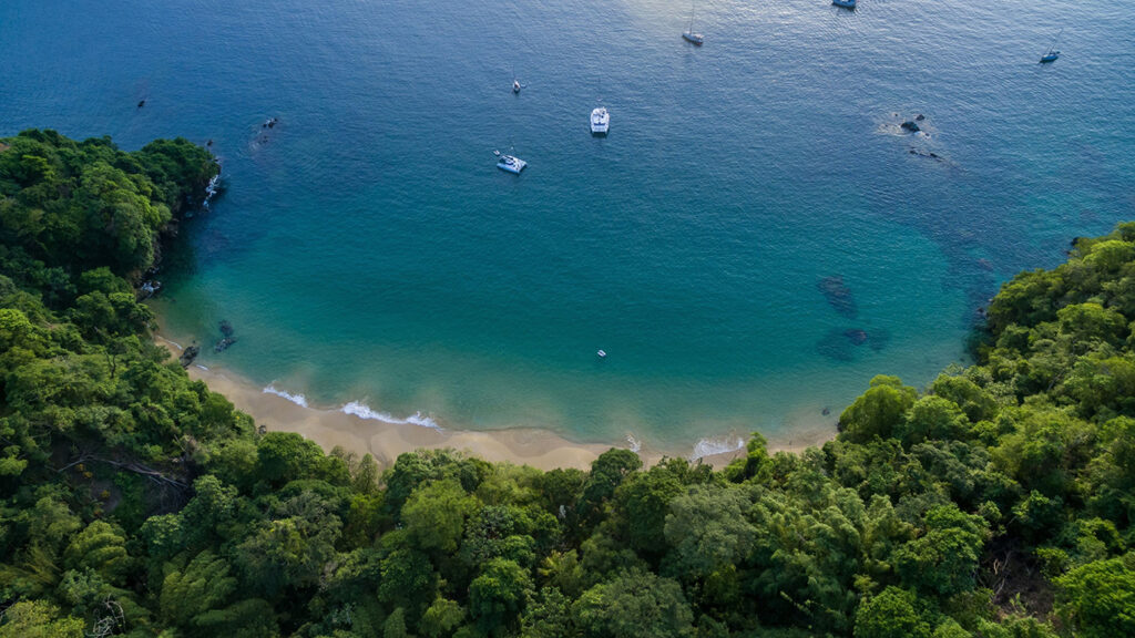 Areal,Of,Yachts,Anchoring,In,Caribbean,Bay,With,Beach,And