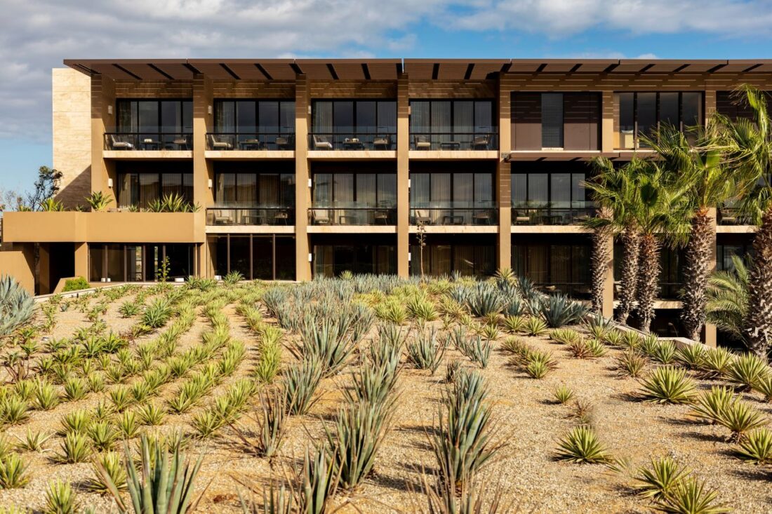 Casa-Maat-at-JW-Marriott-Los-Cabos-Beach_2