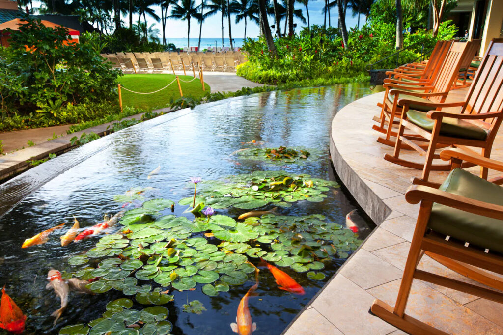 Sheraton-Waikiki-Beach-Resort-Coi-Pond